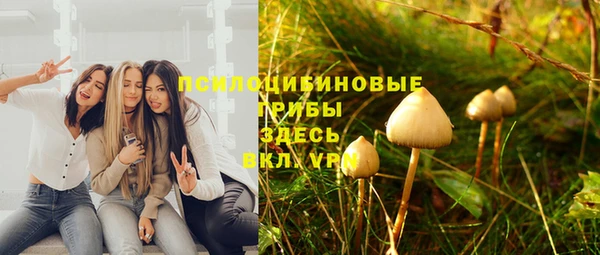 винт Семилуки
