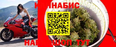 стафф Бийск