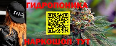 гидропоника Берёзовский