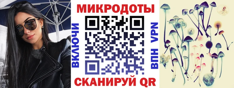 купить наркоту  Кизляр  Псилоцибиновые грибы Psilocybe 